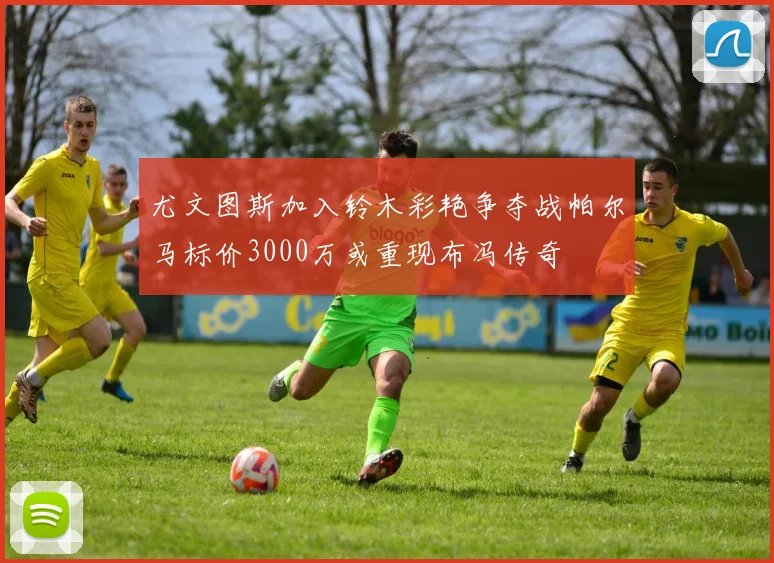 尤文图斯加入铃木彩艳争夺战帕尔马标价3000万或重现布冯传奇