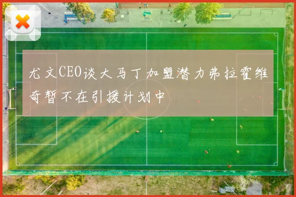 尤文CEO谈大马丁加盟潜力弗拉霍维奇暂不在引援计划中